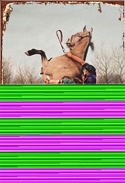 Argentina / Rural